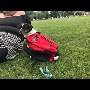 Outward Hound pet travel gear backpack